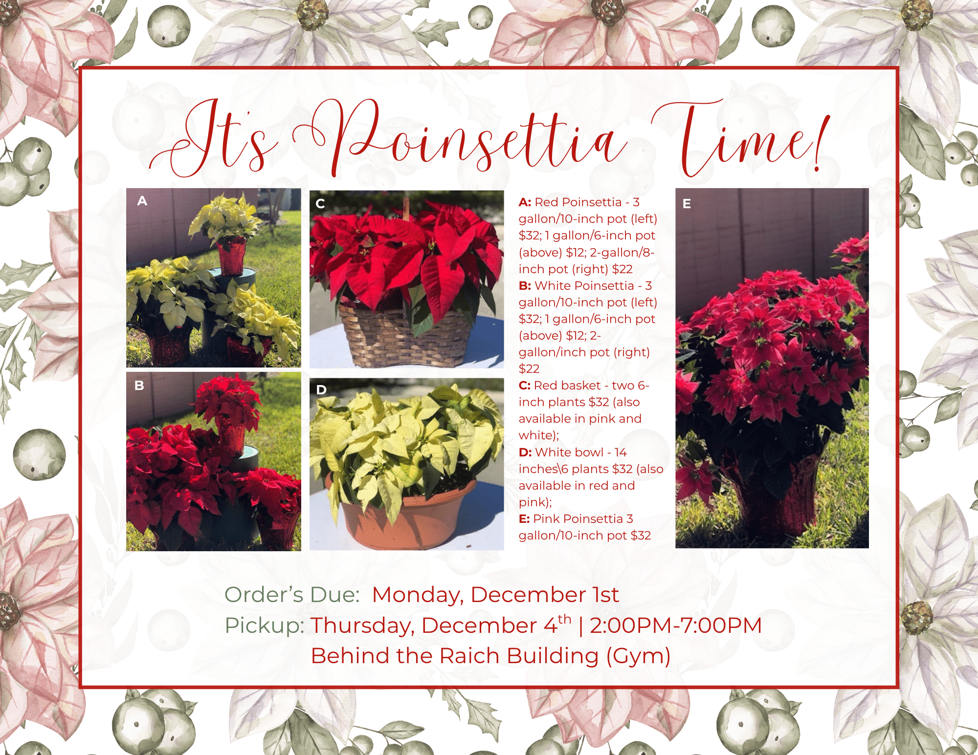 Poinsettia Sale